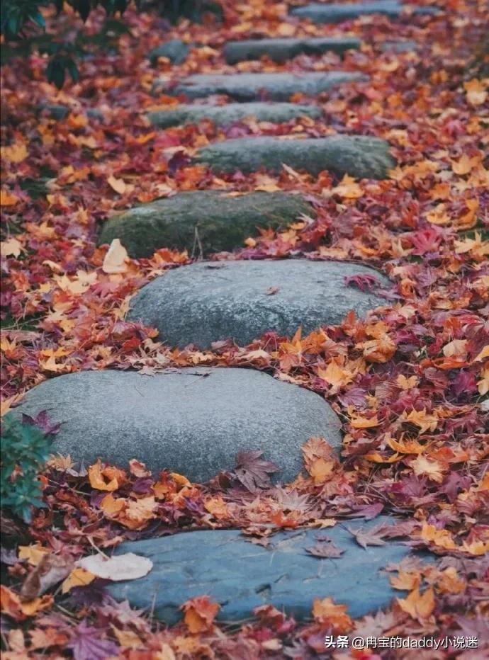 经典重生小说巅峰之作,精彩绝伦的重生小说