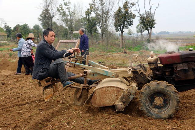 致富创业种火龙果,回乡创业种植火龙果前景怎么样