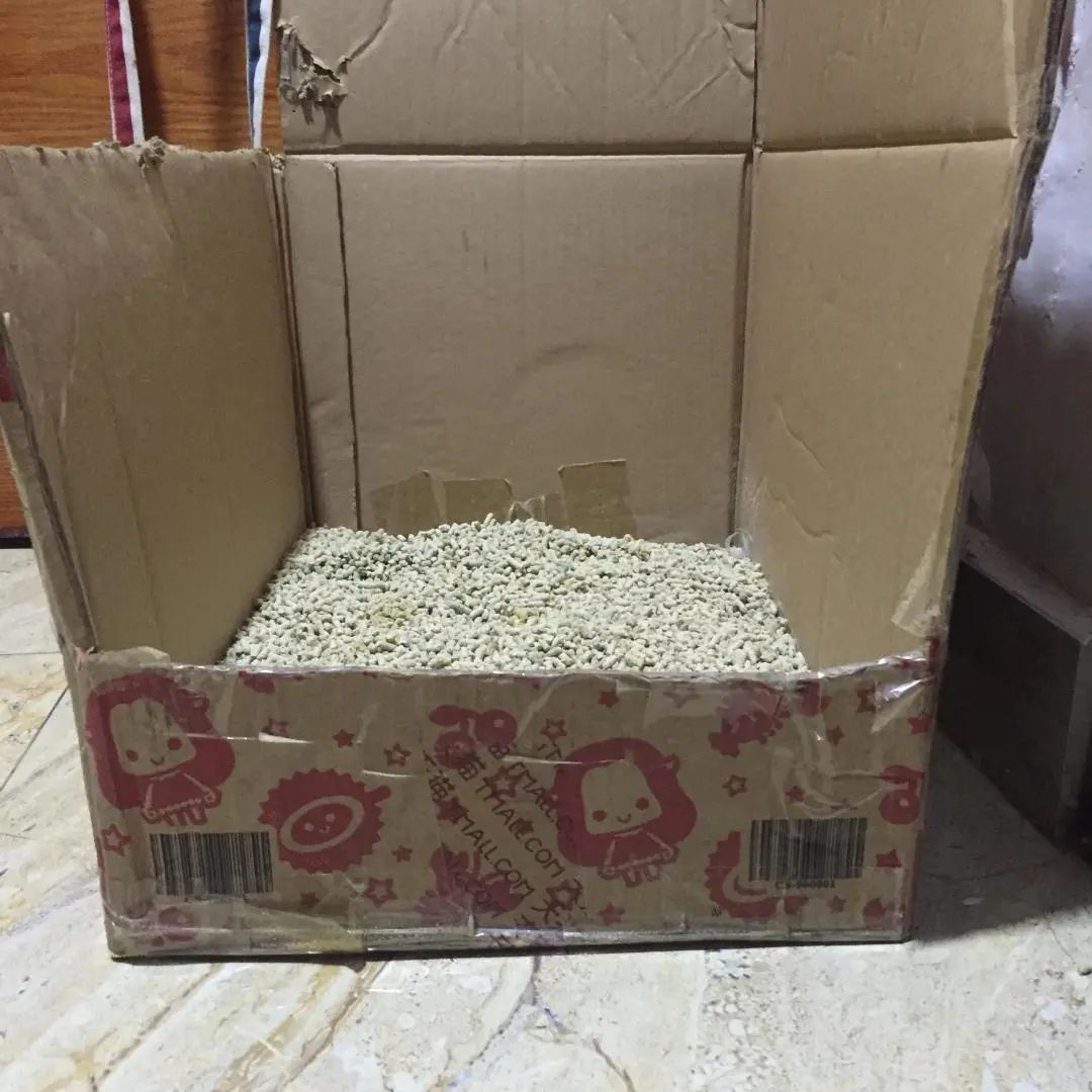 主人被隔离宠物怎么办,主人确诊了猫狗怎么办