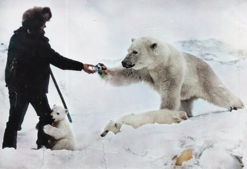 美国女人的收藏品,全美服装比赛上的佳丽,40张照片带你看全球