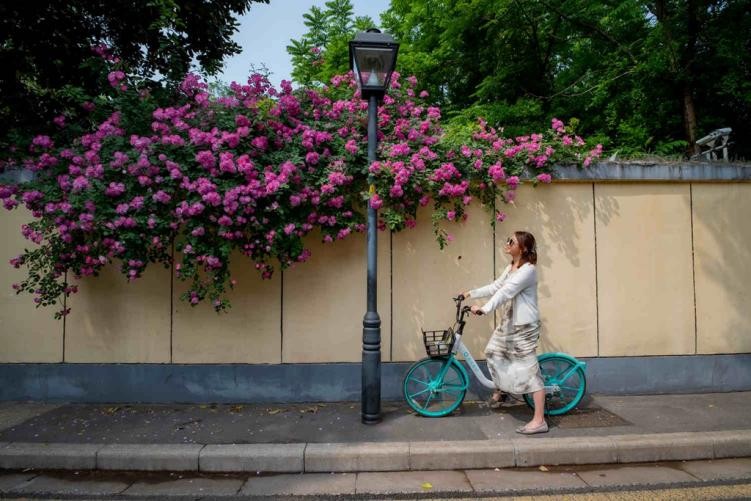 图集丨新“金陵48景”之二十一:颐和公馆