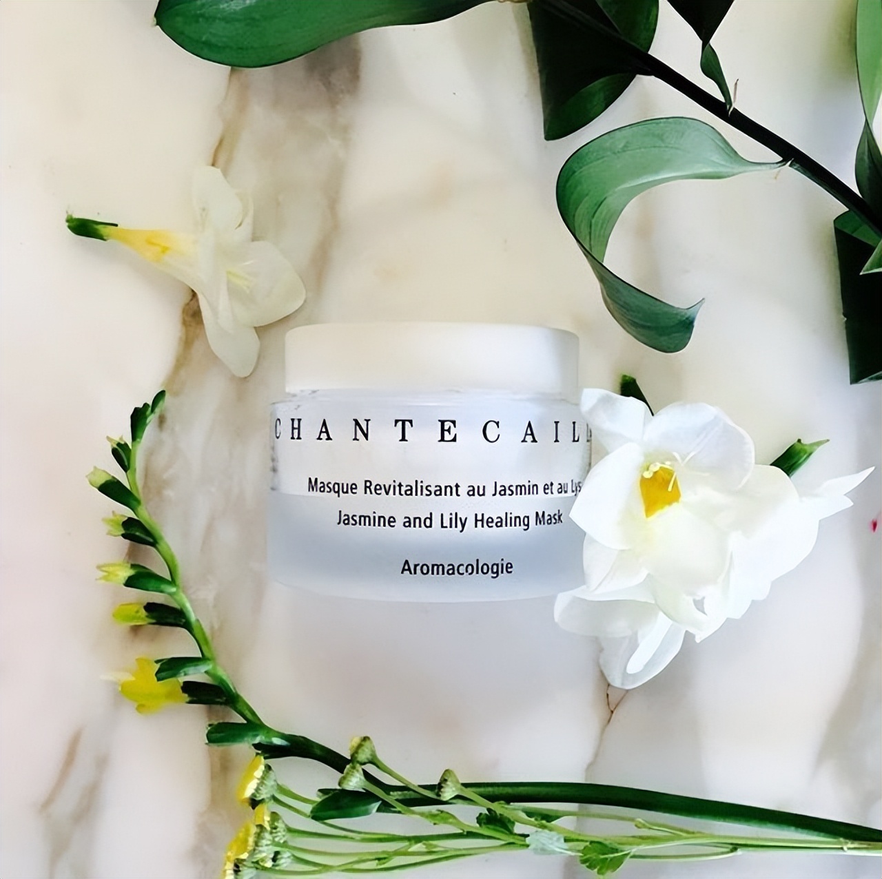 资生堂人事变动,资生堂高管现状