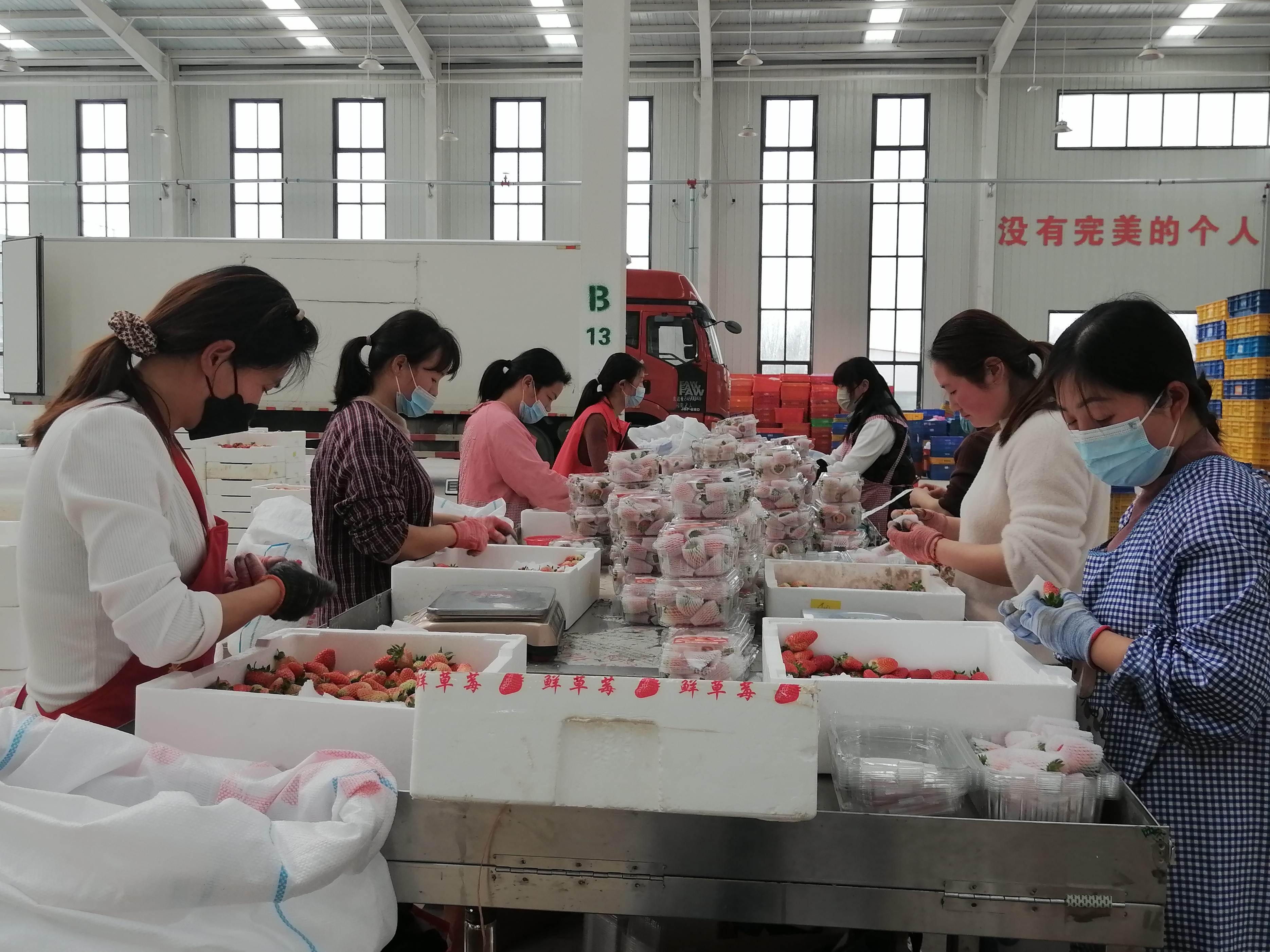 以果买以果买买买平台上线两年打造千家团购社区