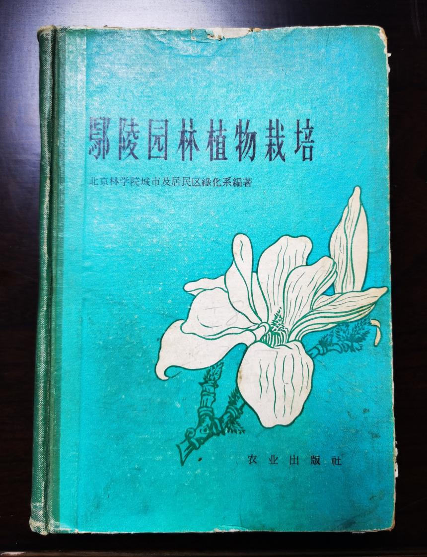 鄢陵模式,2023年鄢陵的发展