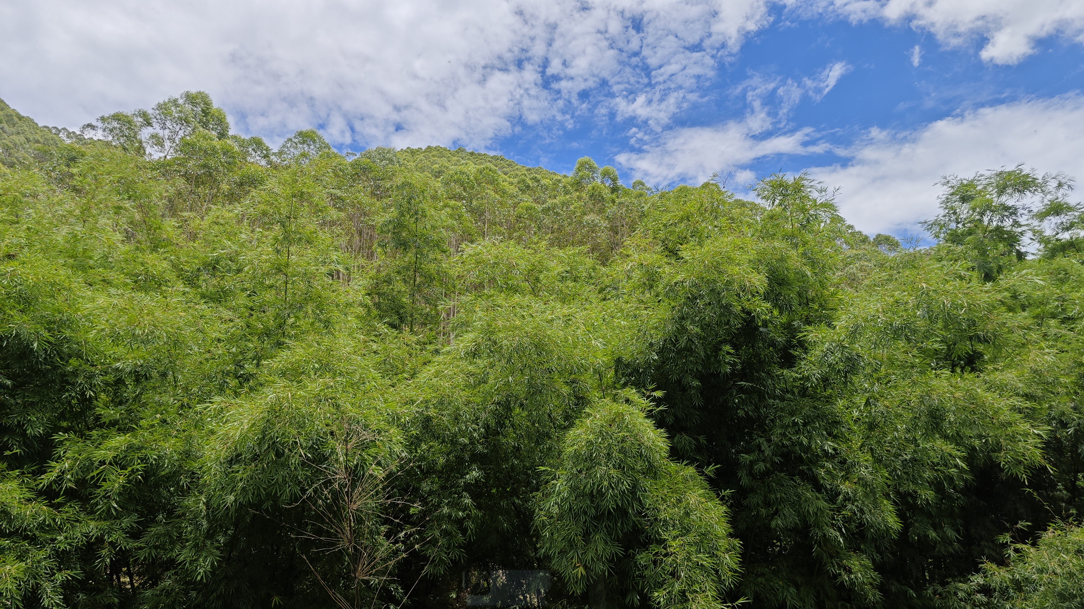 罗浮山温泉品质特色民宿推荐,惠州罗浮山脉下的乡野秘境民宿