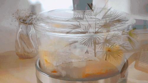 高颜值厨房小电器推荐,始于颜值忠于性能