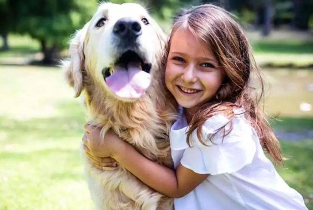 新手养哪种宠物狗比较好养,养狗首选这3种狗既便宜又好养