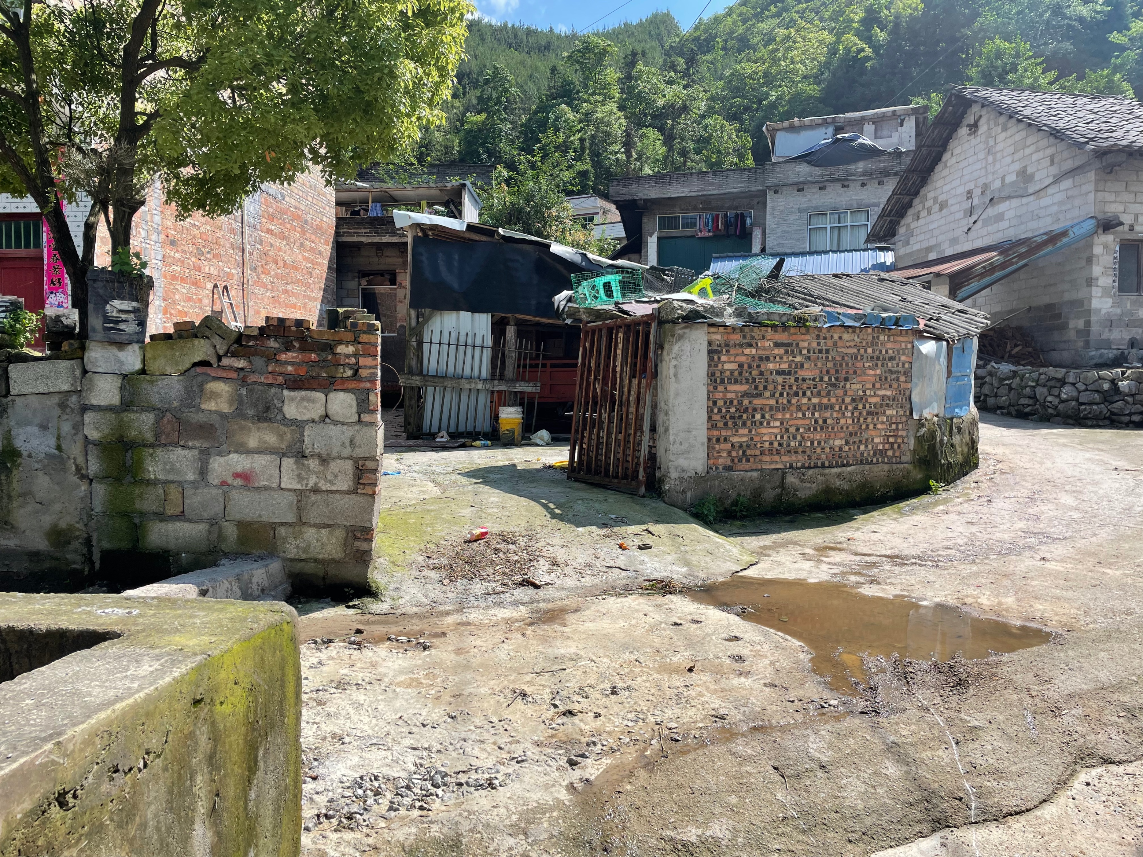 贵州农村小伙娶了个漂亮老婆,贵州农村小伙娶外国媳妇视频