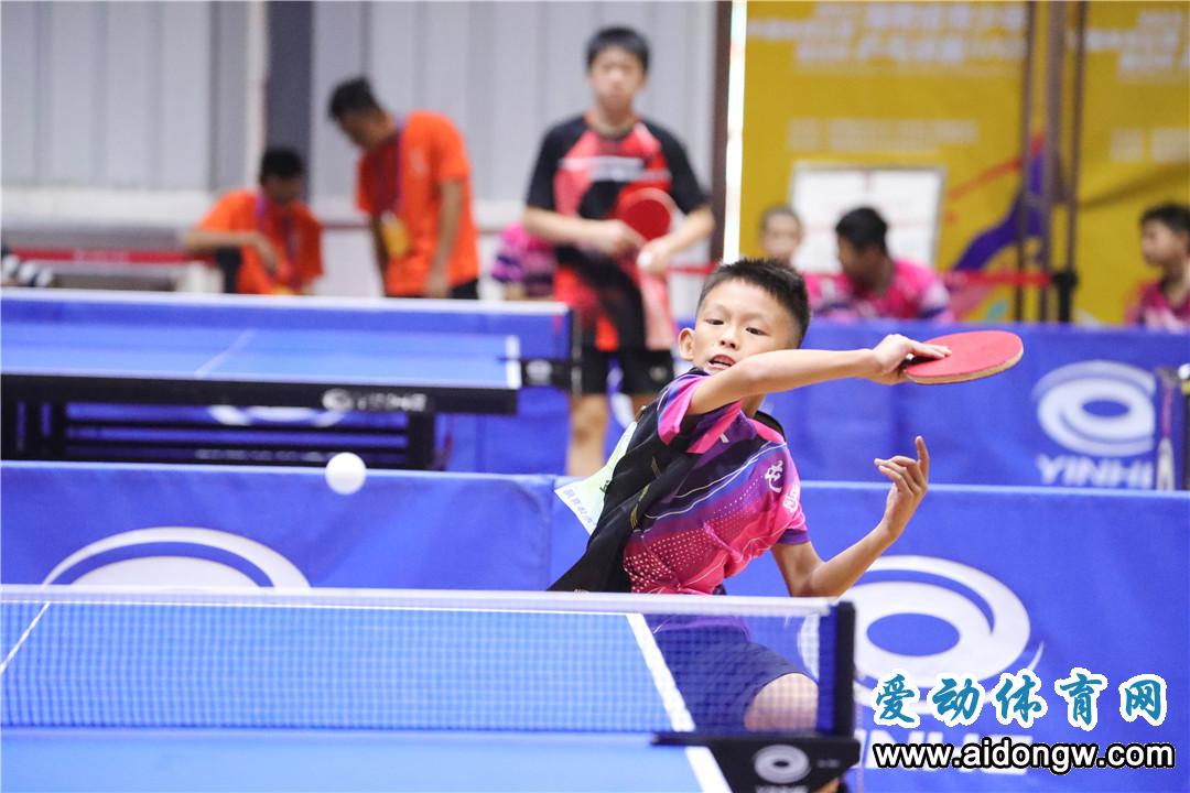 2019年海南省青少年乒乓球锦标赛,海南u12乒乓球比赛