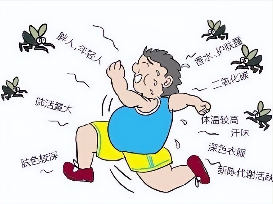 蚊子最怕的3个小妙招,快速让蚊子消失这小技巧