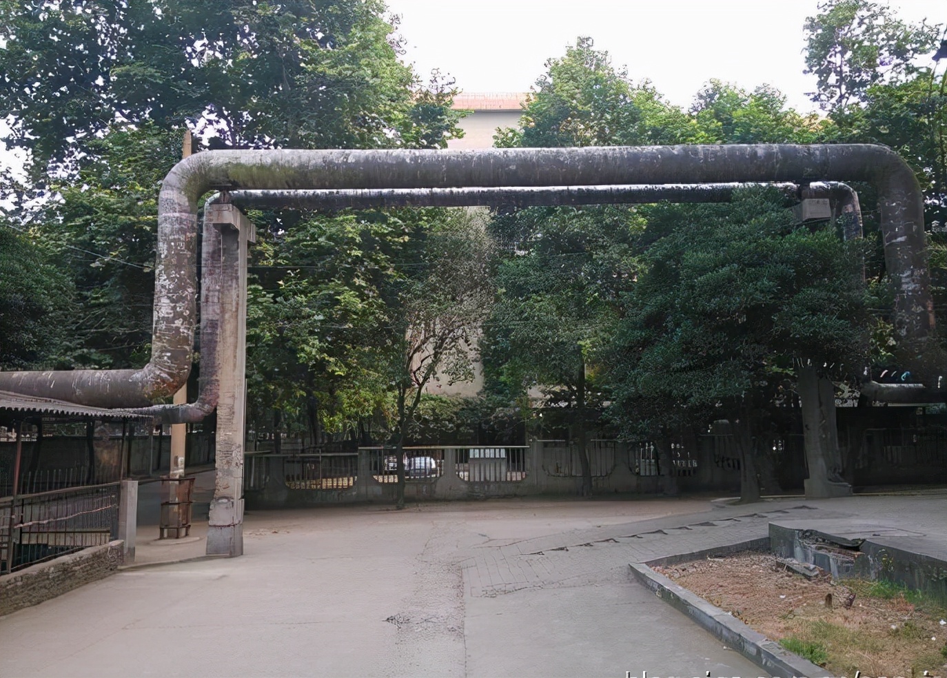 一场惊心动魄的篮球赛,一场别开生面的篮球赛作文