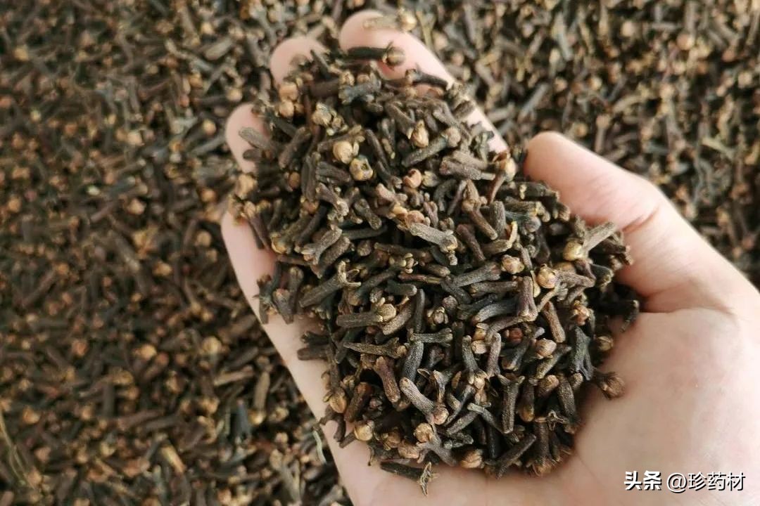 8月18日中药材市场快讯：厚朴、白及、桑叶、荆芥、丁香、豆蔻等