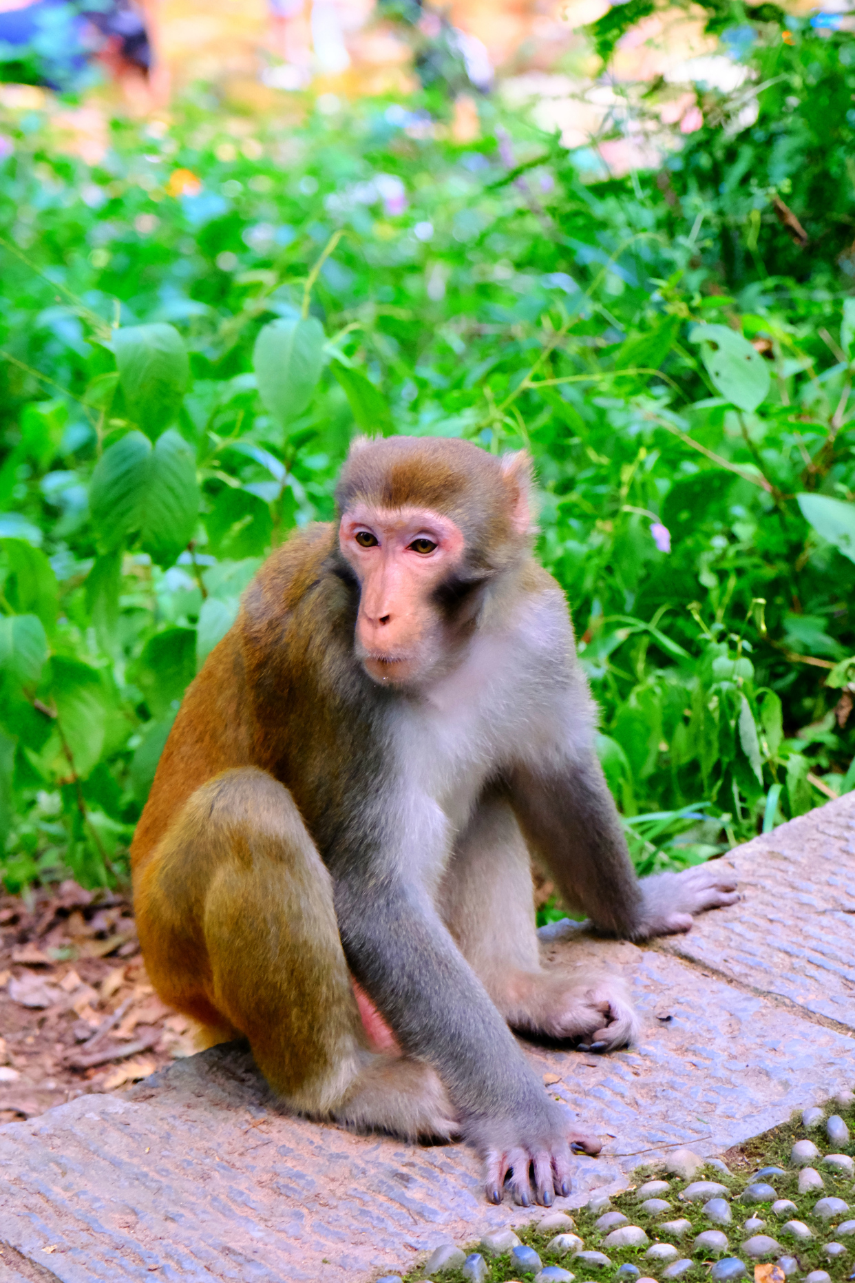 湖南7日游，玩转长沙郴州和张家界，这份美景美食实用攻略请查收