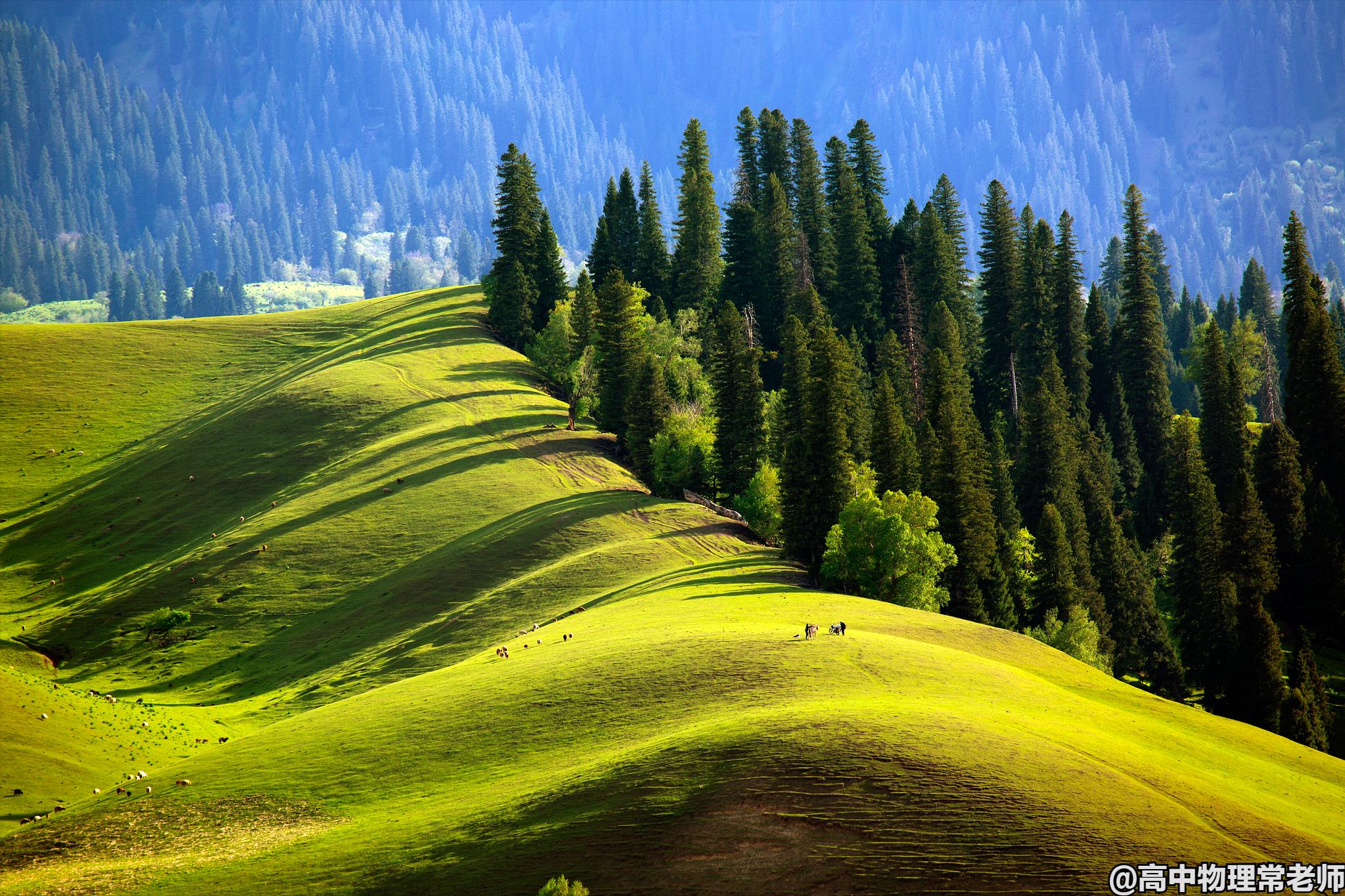 鐙簱鍏矾鐜枂鍗楀寳,鐙簱鍏矾淇￠┈娓哥枂