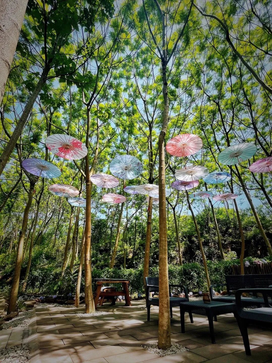 合作共赢！日光域百村振兴计划成渝首发第一村——新津九莲·慵也谷项目招商启动