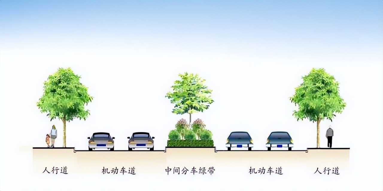 行道树补植方案,行道树病虫害防治标准