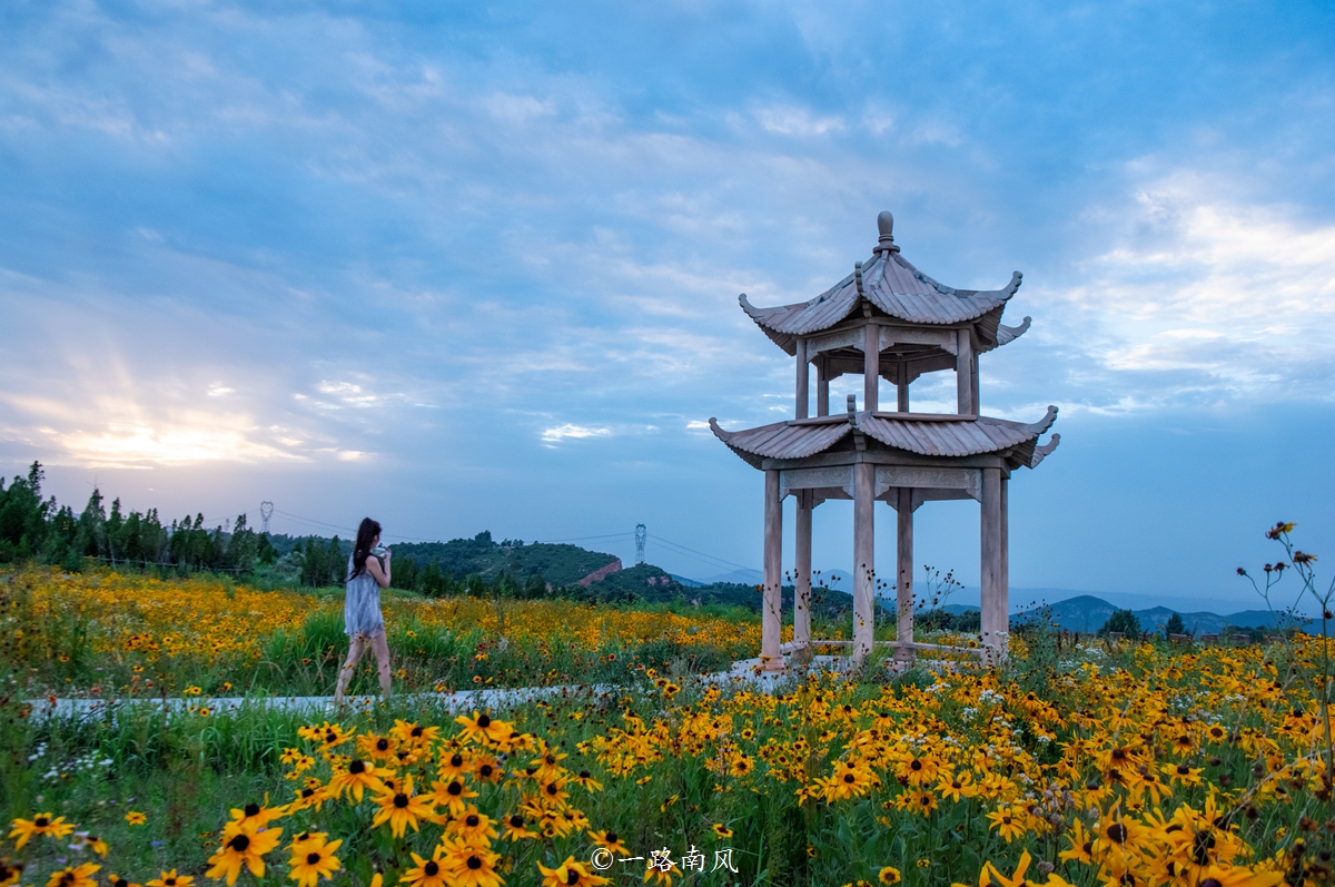 河南特别大的草原,美丽的河南大草原