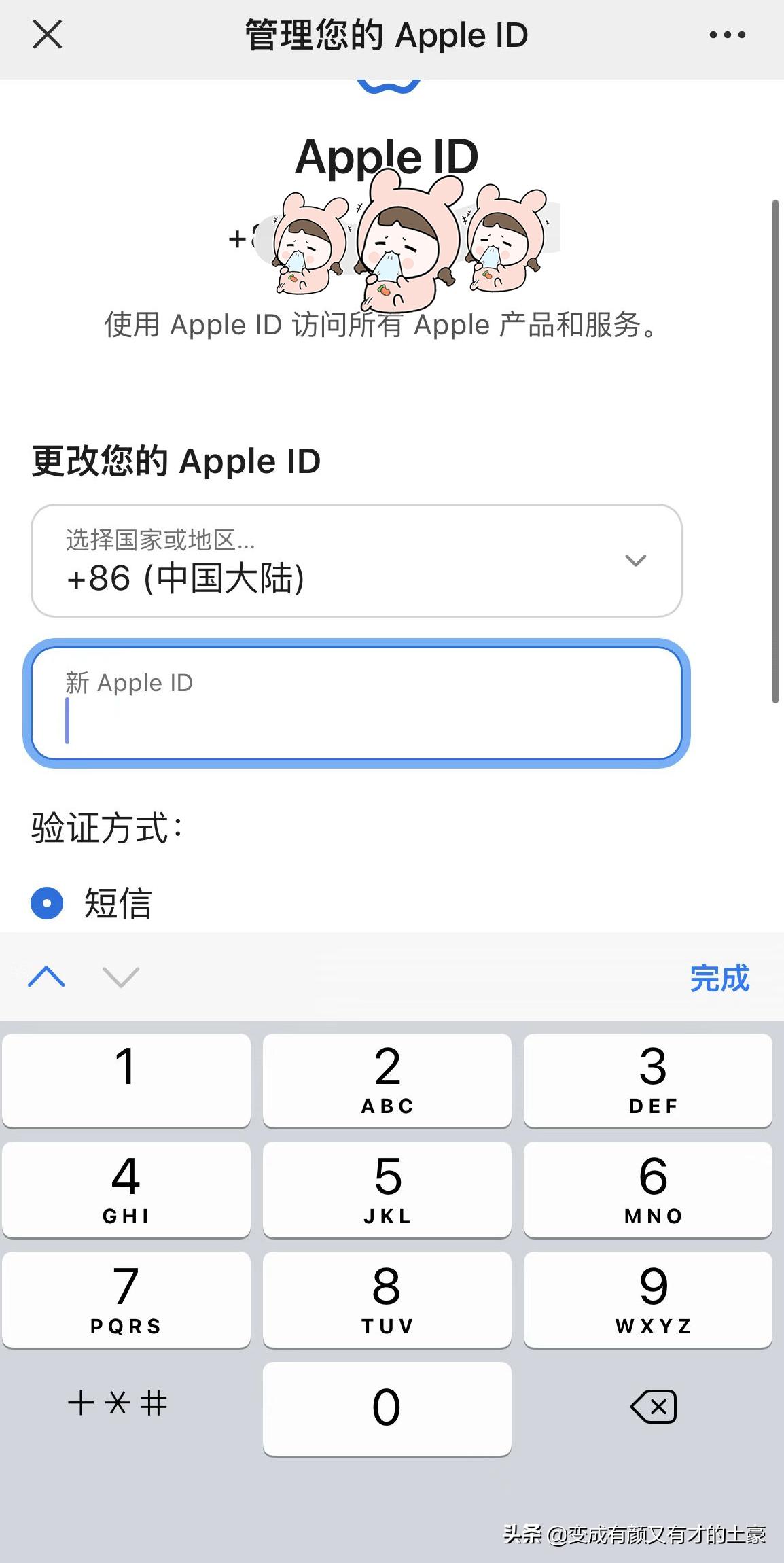 appleid怎么申请成为开发者账号,appleid怎么加入开发者计划