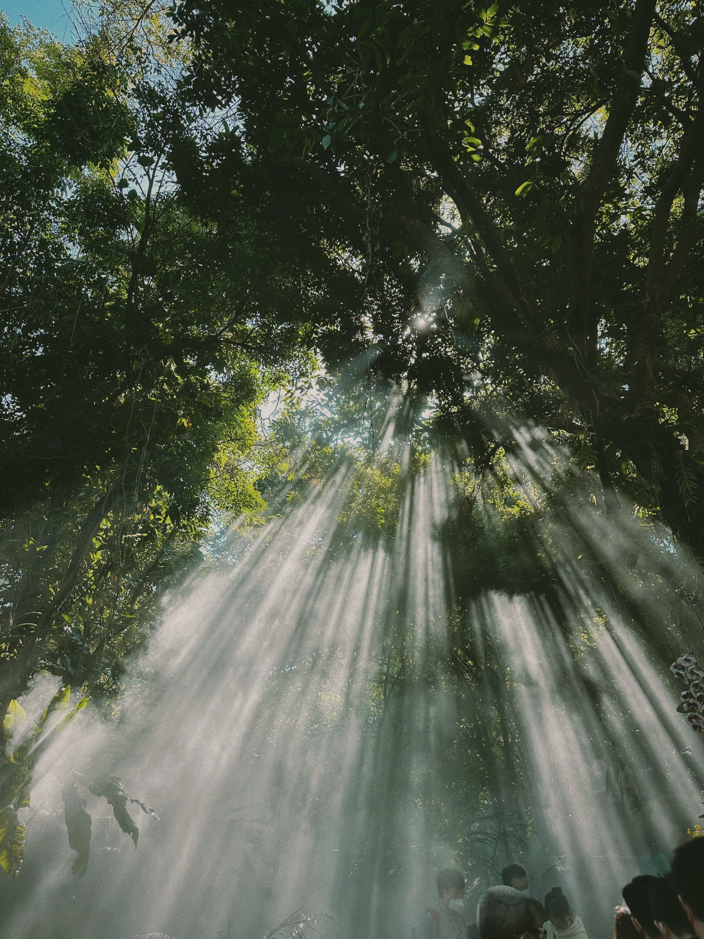 冬季厦门旅行攻略,厦门四天三夜攻略