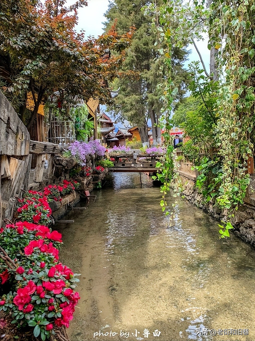 玩转云南自由行,昆明大理丽江6天5晚游多少钱