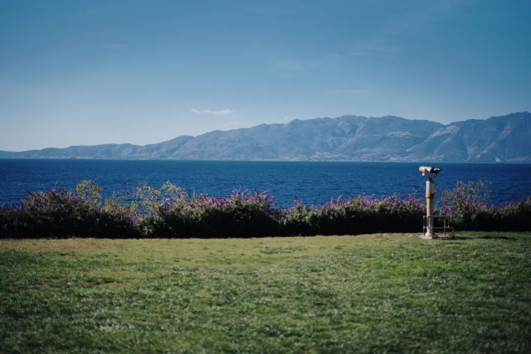 公司的旅游团建必须去吗,旅游团建机构有哪些好的