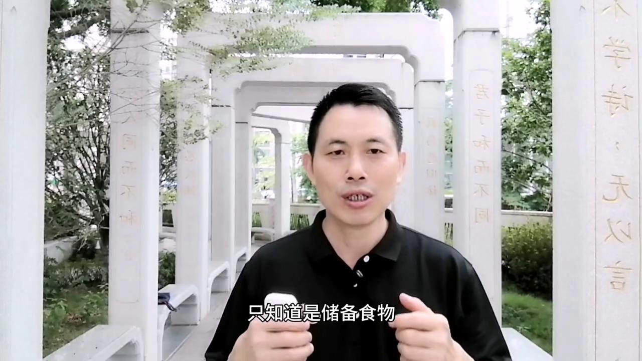什么是机会哲学,什么是机会励志语录完整版