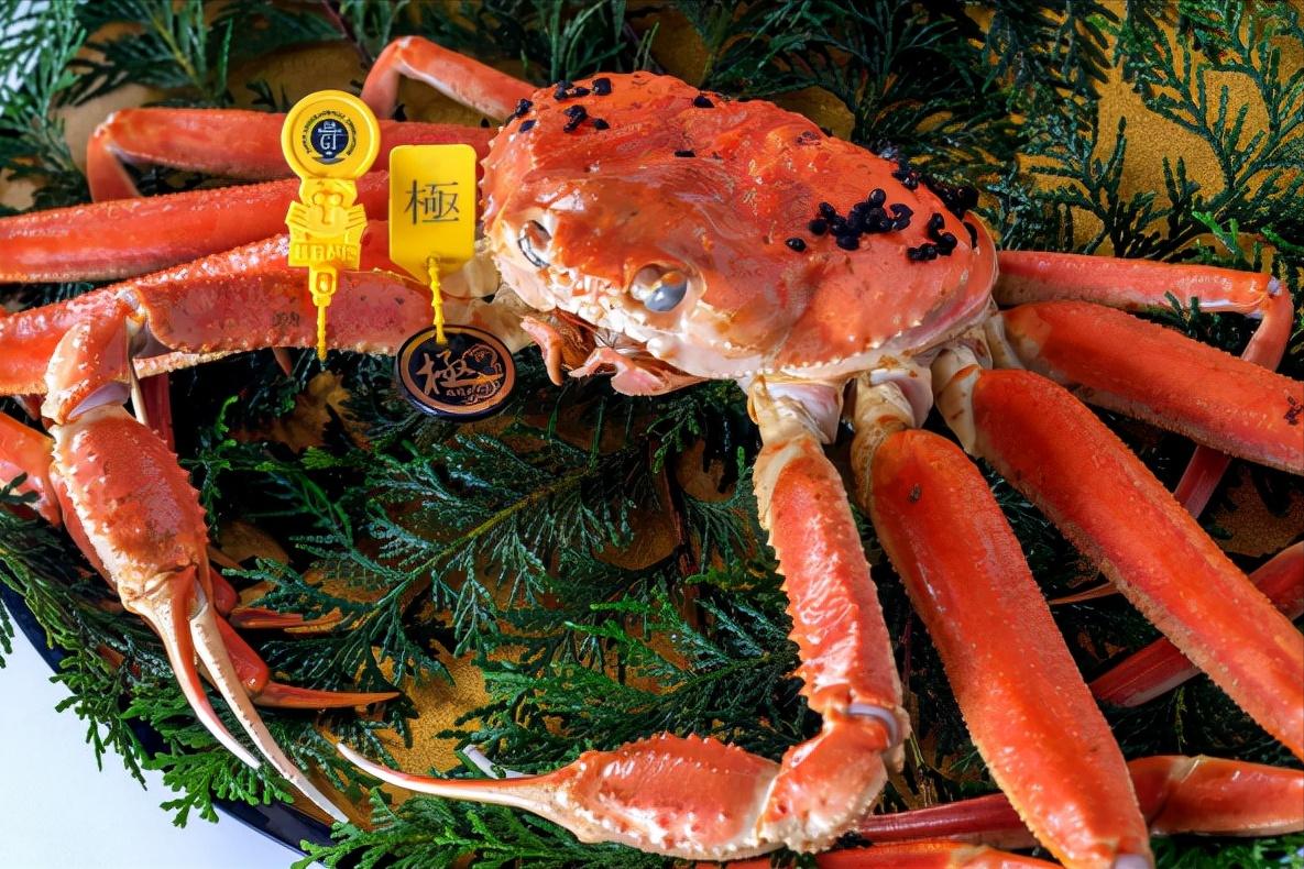 去日本必吃的五种海鲜,到日本必吃的饕餮美食