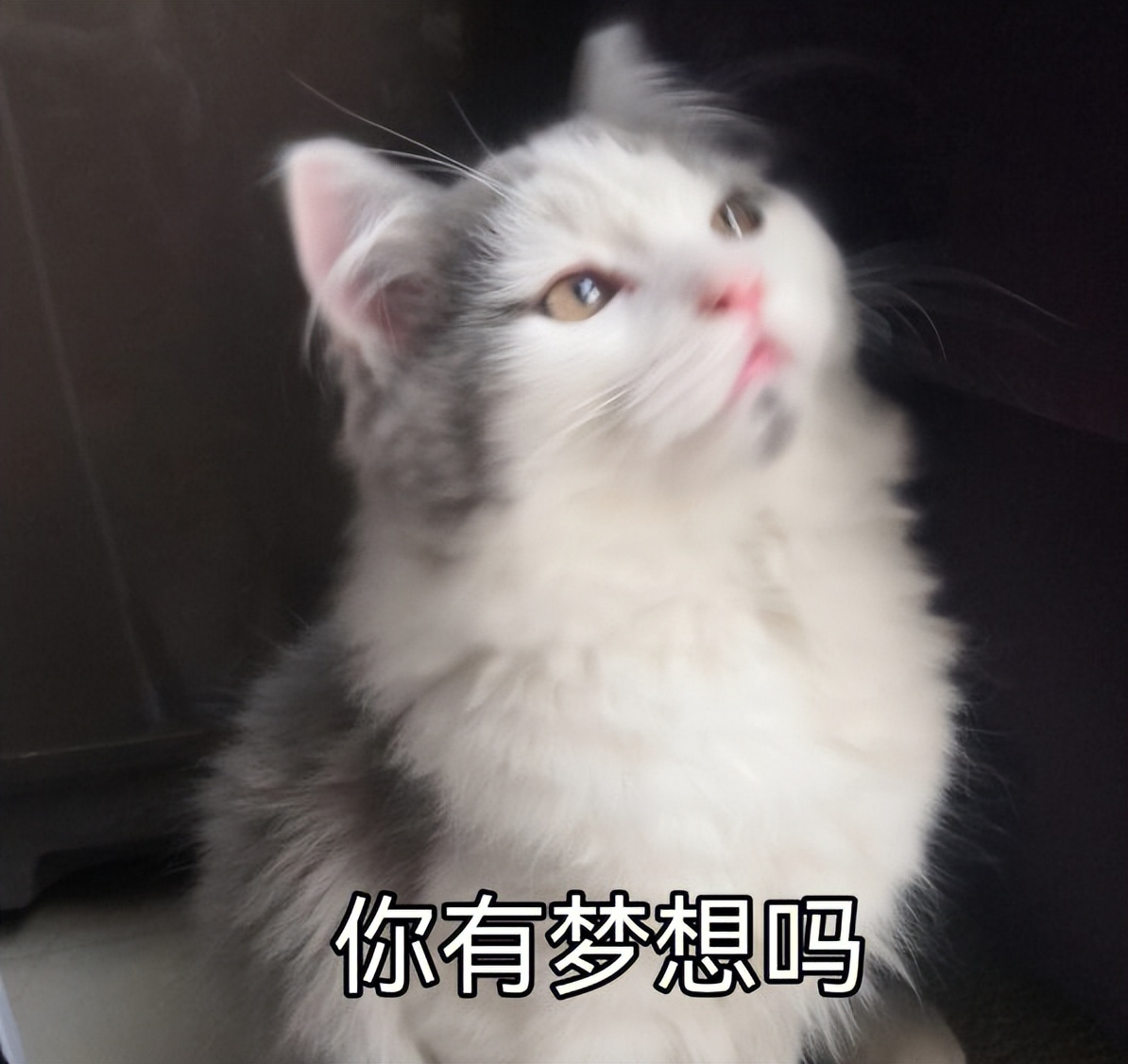 宝妈最新副业在家就能做的兼职,宝妈可以自己在家做的兼职