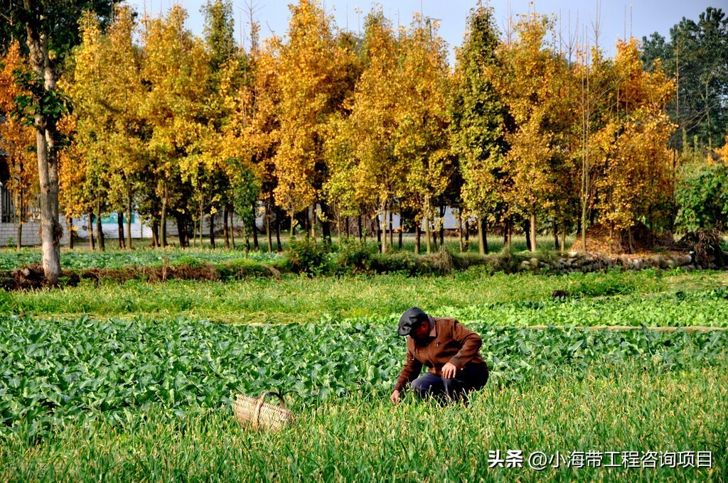 四川发布最新招标项目,四川建设项目招标公告