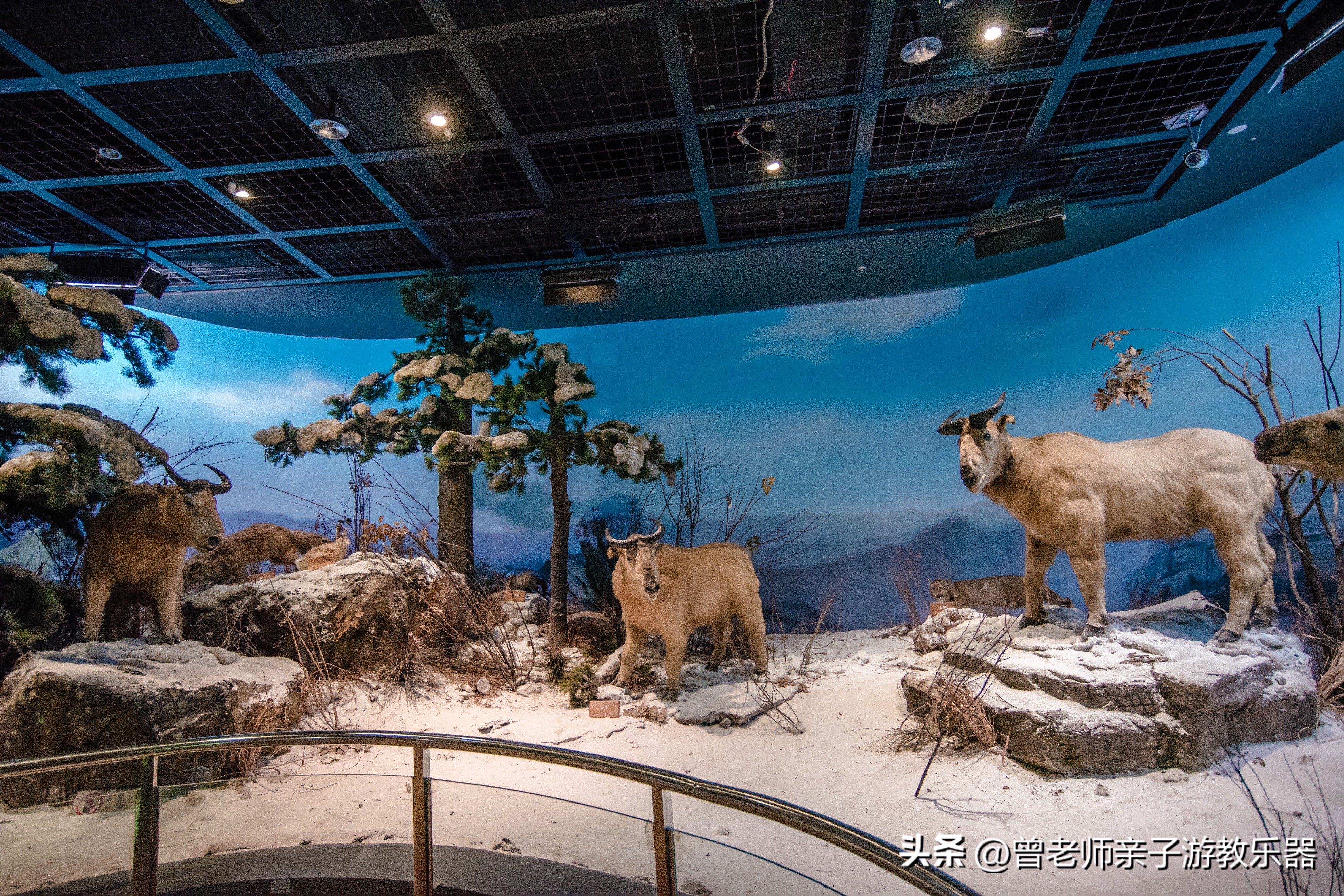 西安2023旅游攻略,2023年西安必去景点