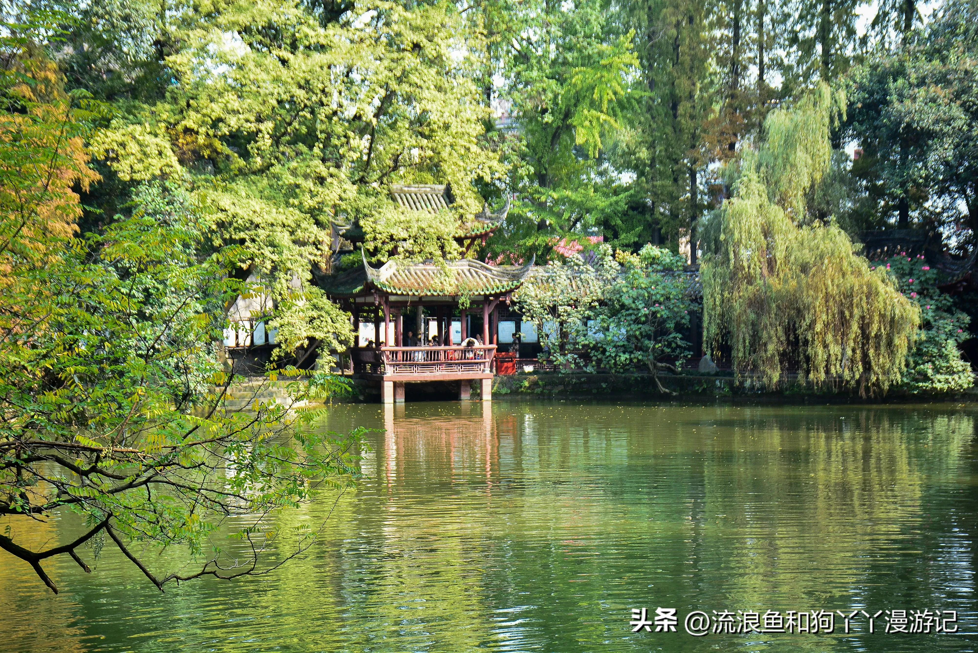 四月份成都近郊一日游好去处,2022成都近郊看雪一日游最佳去处