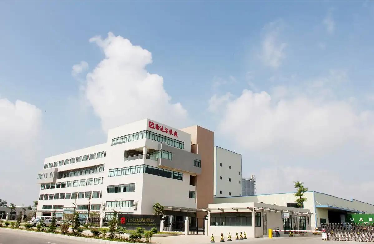 京基恶意并购康达尔在哪一年,京基集团康达尔