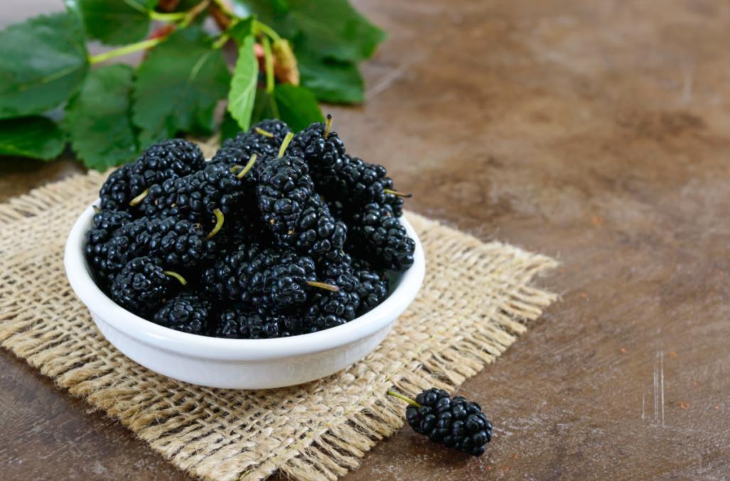 青少年肾气不足白发能治愈吗,白发吃什么补肾气最好