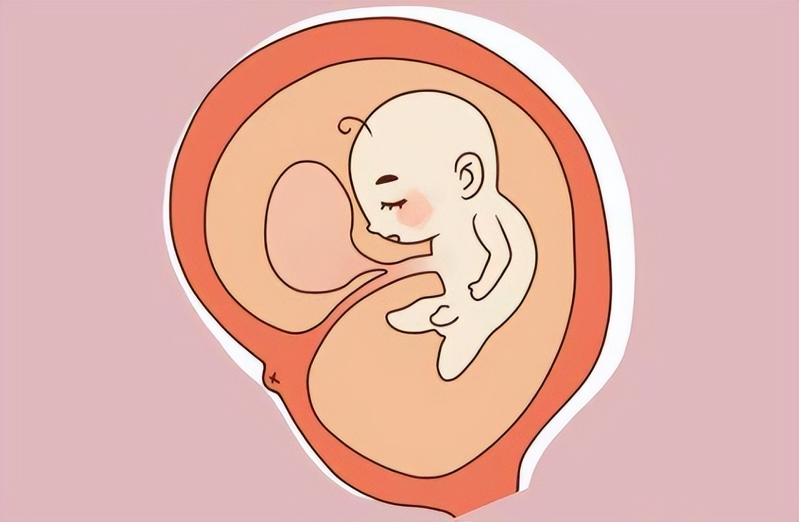 50岁以后女性要多吃这些菜,增加女性雌激素的碱性食物