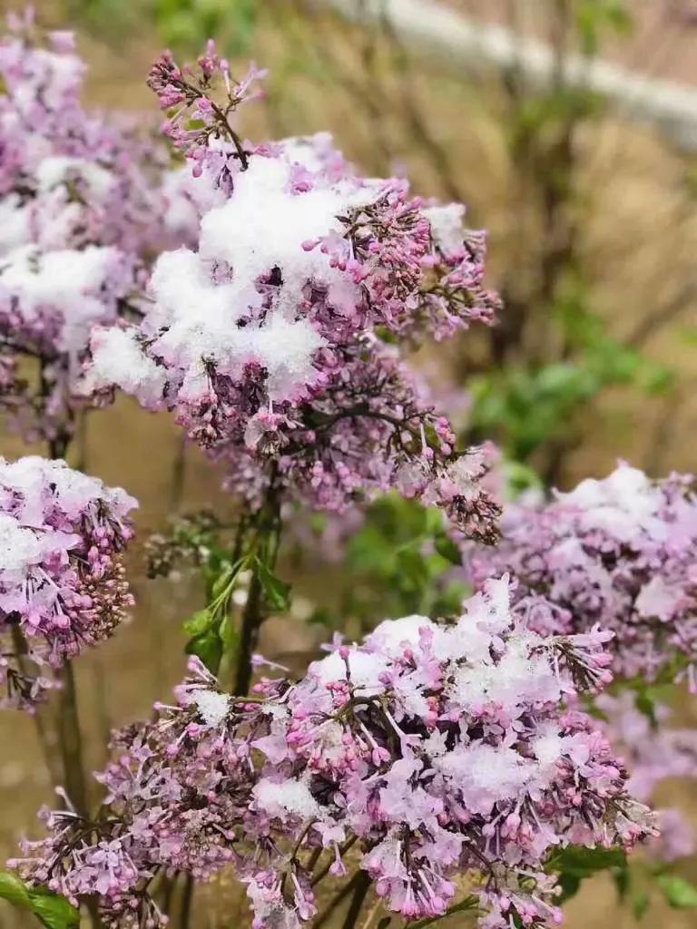 适合白手起家的小本创业,6个适合在家创业项目推荐