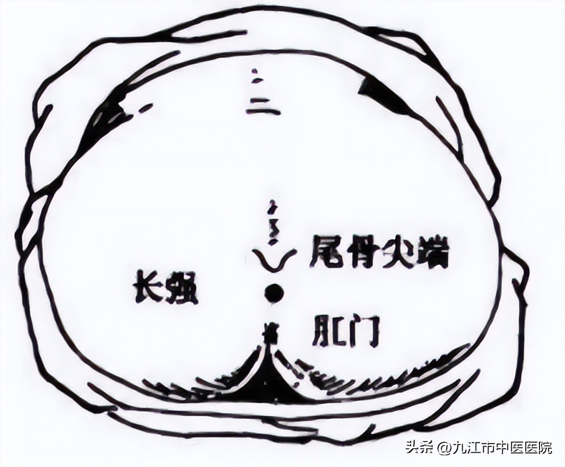 杏林春暖中医养生,杏林春暖中医视频