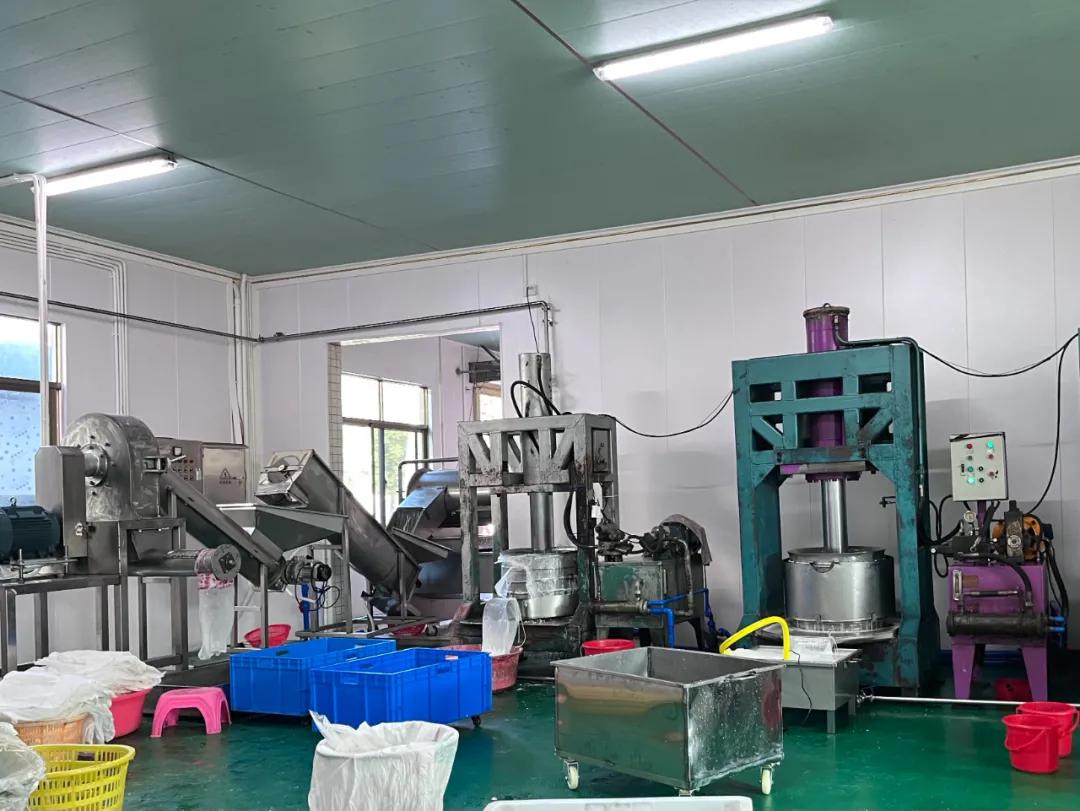 去海南探访椰子潮流背后的秘密,去海南要知道什么