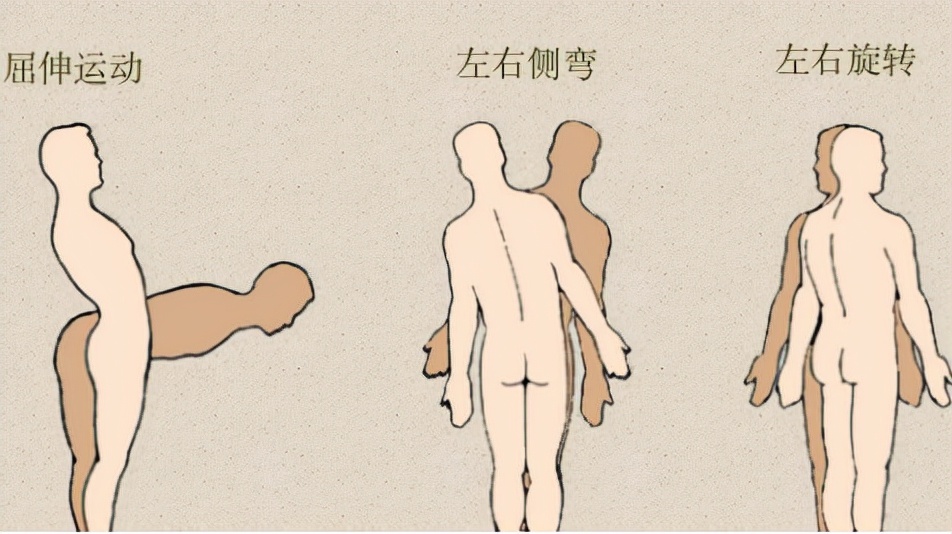 心脏病后背痛和肺癌后背痛的区别,58岁后背疼痛怎么回事