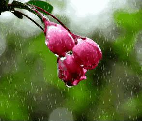 庚子日柱2023年癸卯年运势,癸卯年2023年哪个月出生最好