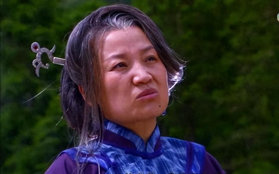 鹿鼎记2之神龙教陈近南与冯锡范,陈小春版鹿鼎记陈近南和冯锡范