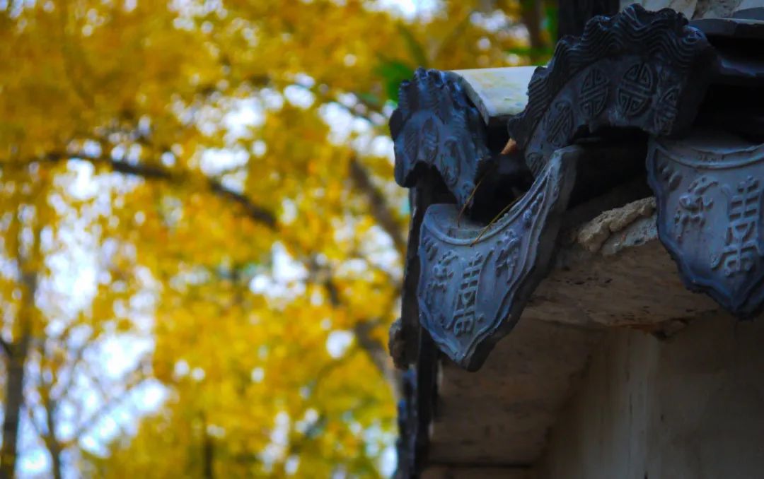 周易成功定律大全,周易10句话人生一顺百顺