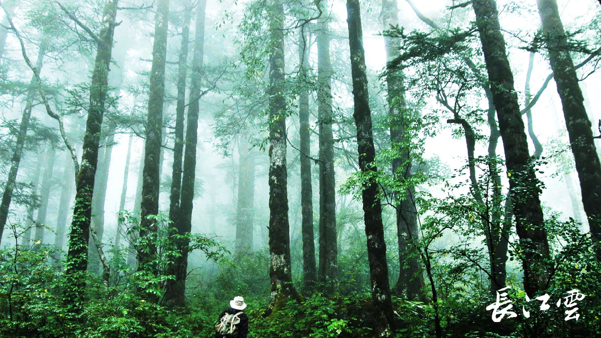 中国十大自然禁区神农架,神农架国家自然保护区图片