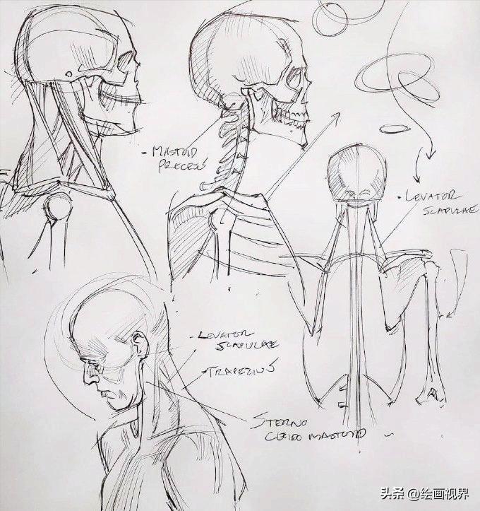 学不会人体画法怎么办,初学者不会画素描