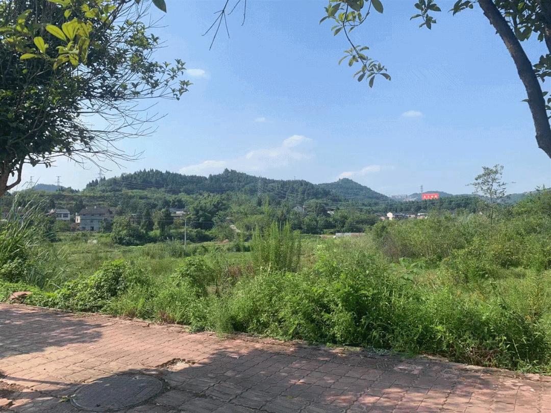 嘉陵区白燕新城规划图,南充白燕新城规划