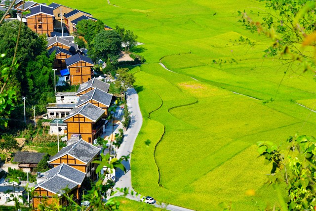 这个基层干部“能收尽收”，事儿办不成也不退钱，该怎么收拾他？