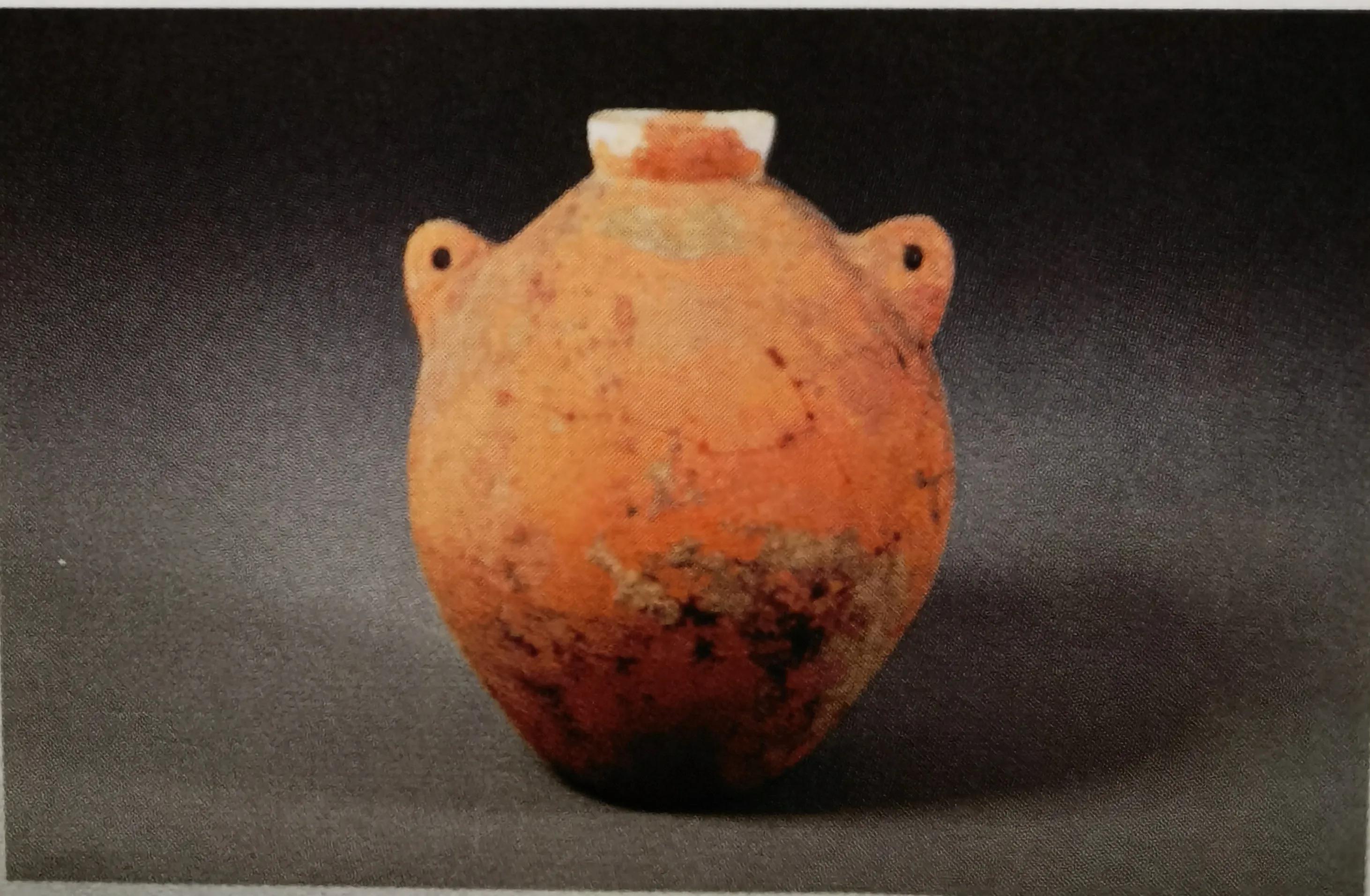 傅家遗址公园,傅家遗址在哪里