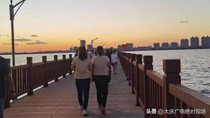 大庆蚊子多是怎么回事,为什么大庆蚊子越来越猛