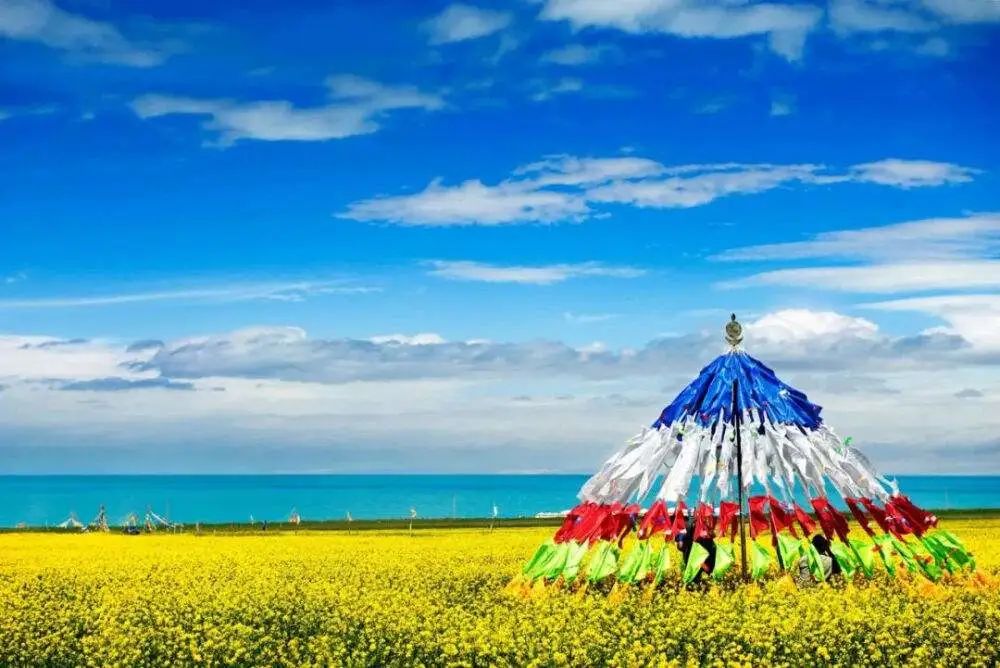 出发西北游,去西北旅行吧