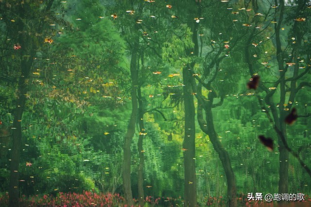 梦见被狗咬了现实中有事吗,梦见被狗咬是凶兆还是吉兆