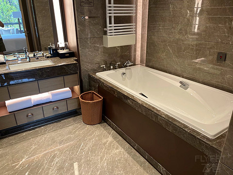 鍒濆涔嬫梾榛勯噾娴峰哺,鍒濆涔嬫梾